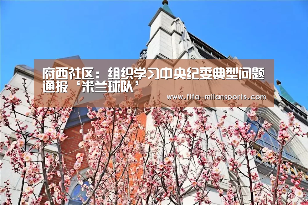 府西社区:组织学习中央纪委典型问题通报‘米兰球队’(图2) 米兰球队